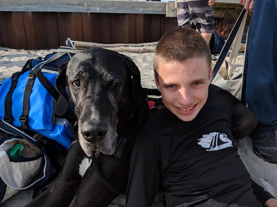 The Amazing Bond Between A Service Dog And A Cerebral Palsy Patient