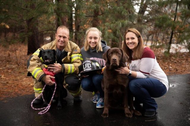 Dog That Miraculously Survived Fire Gets Adopted By A Fire Fighter