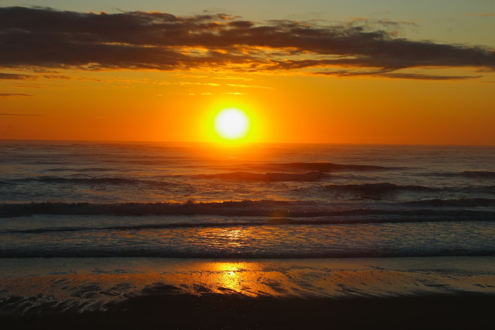 Sunrise surf on one of the dog friendly beaches in Massachusetts - Photo by Brian Yurasits on Unsplash