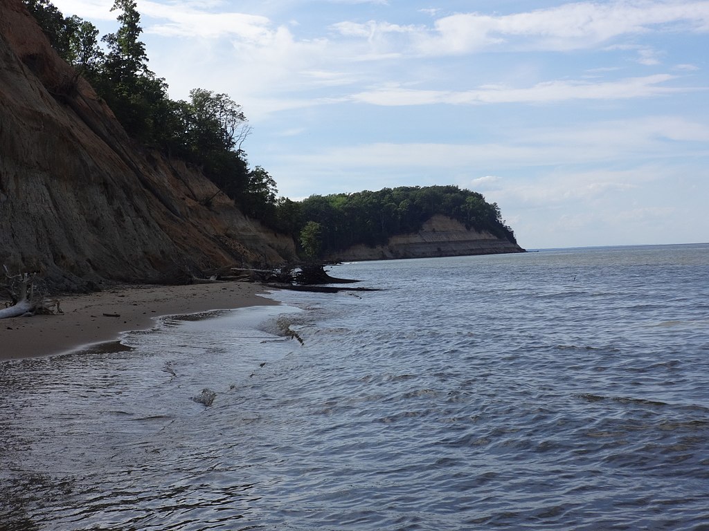 Calvert Cliffs State Park - one of the best dog friendly beaches in Maryland