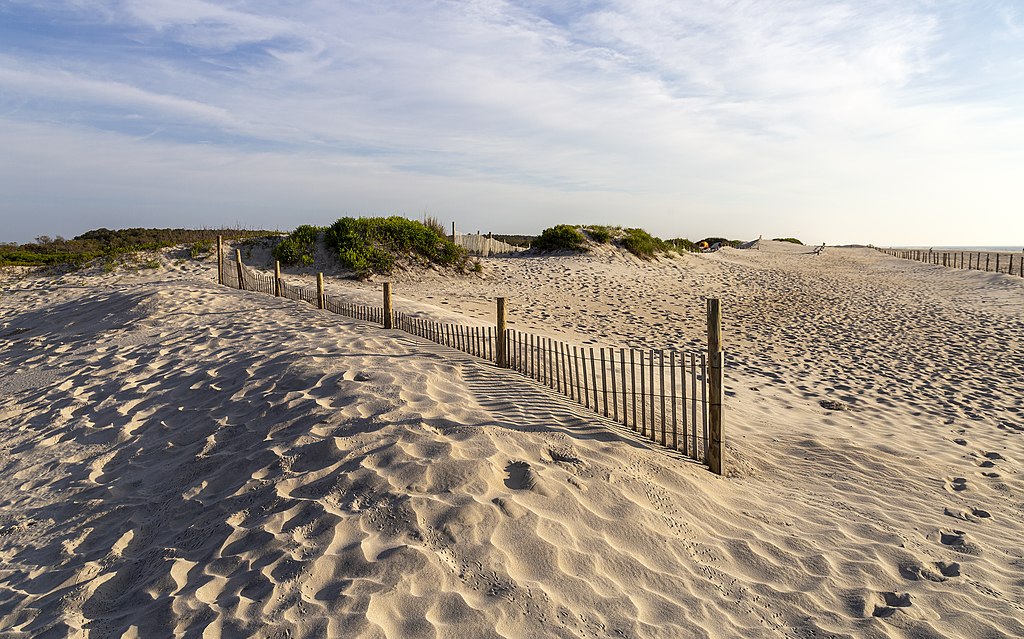 Assateague Island National Seashore - one of the best dog beaches in Maryland