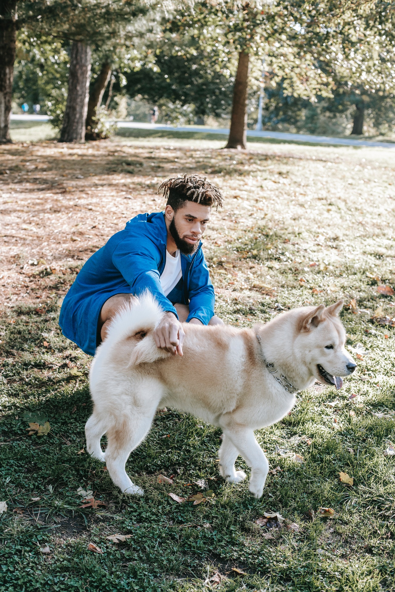 Man with a beautiful West Siberian Laika in a Connecticut park