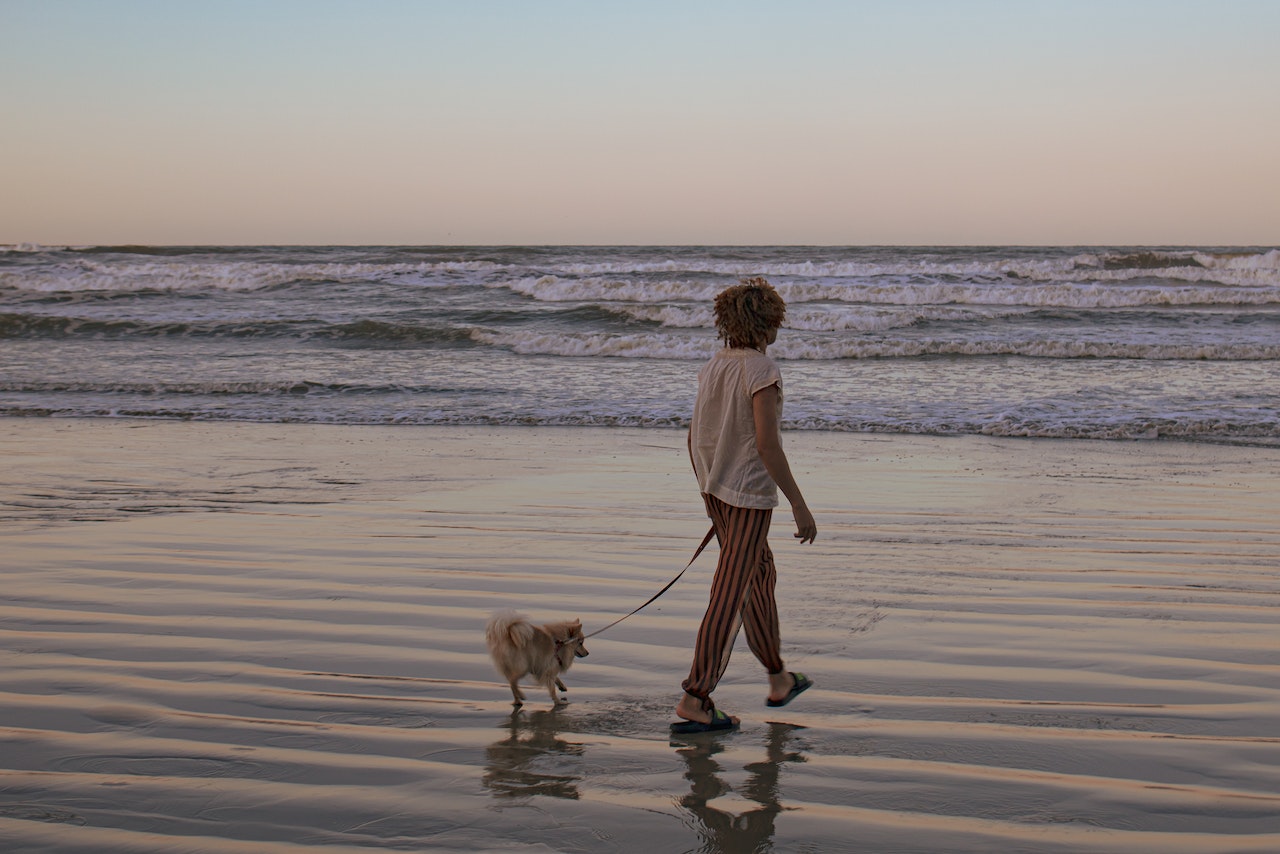 Walking the dog on a Rhode Island dog friendly beach