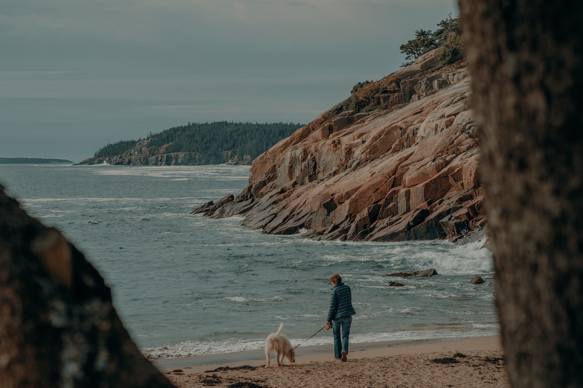 Walking the doggo on the beach - Sand Beach, Acadia National Park, Bar Harbor, Maine, USA