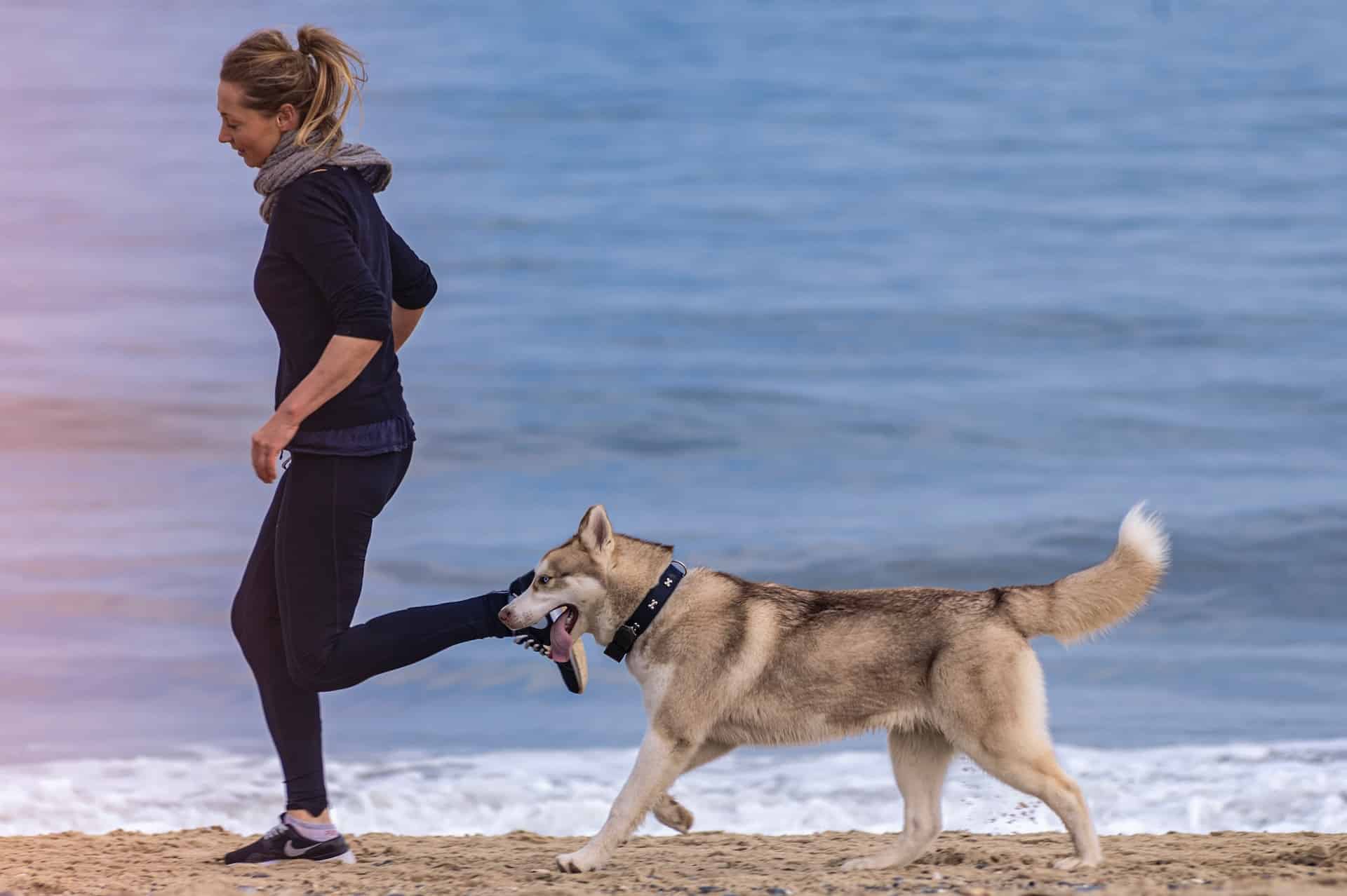 Woman running with dog on a Sonoma County dog friendly beach