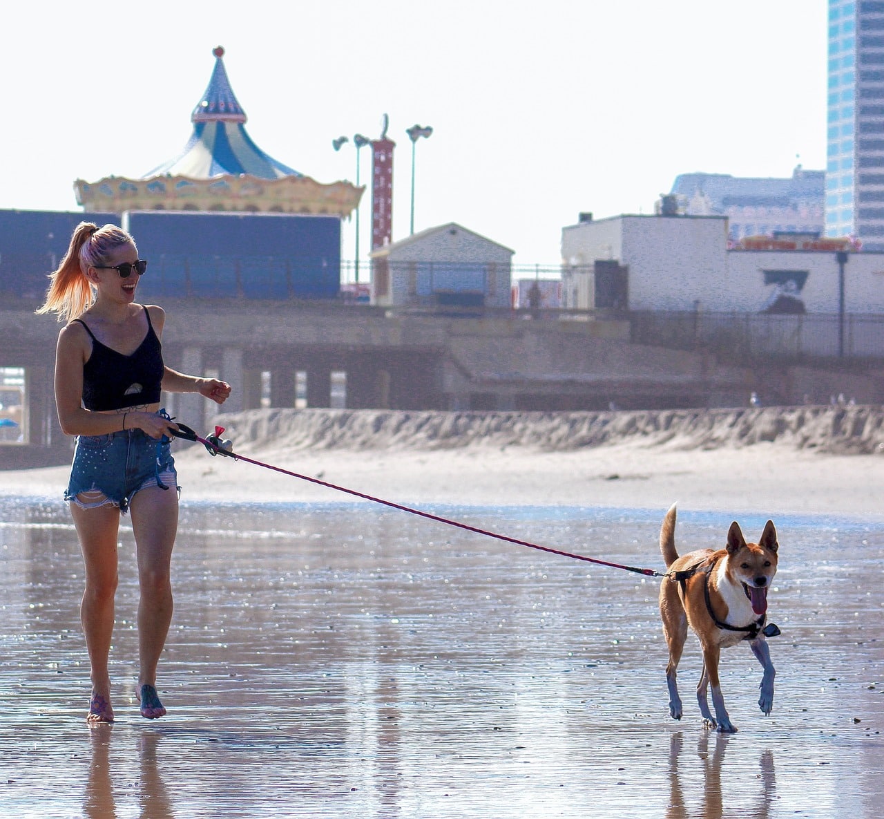 A woman walking her dog at the beach