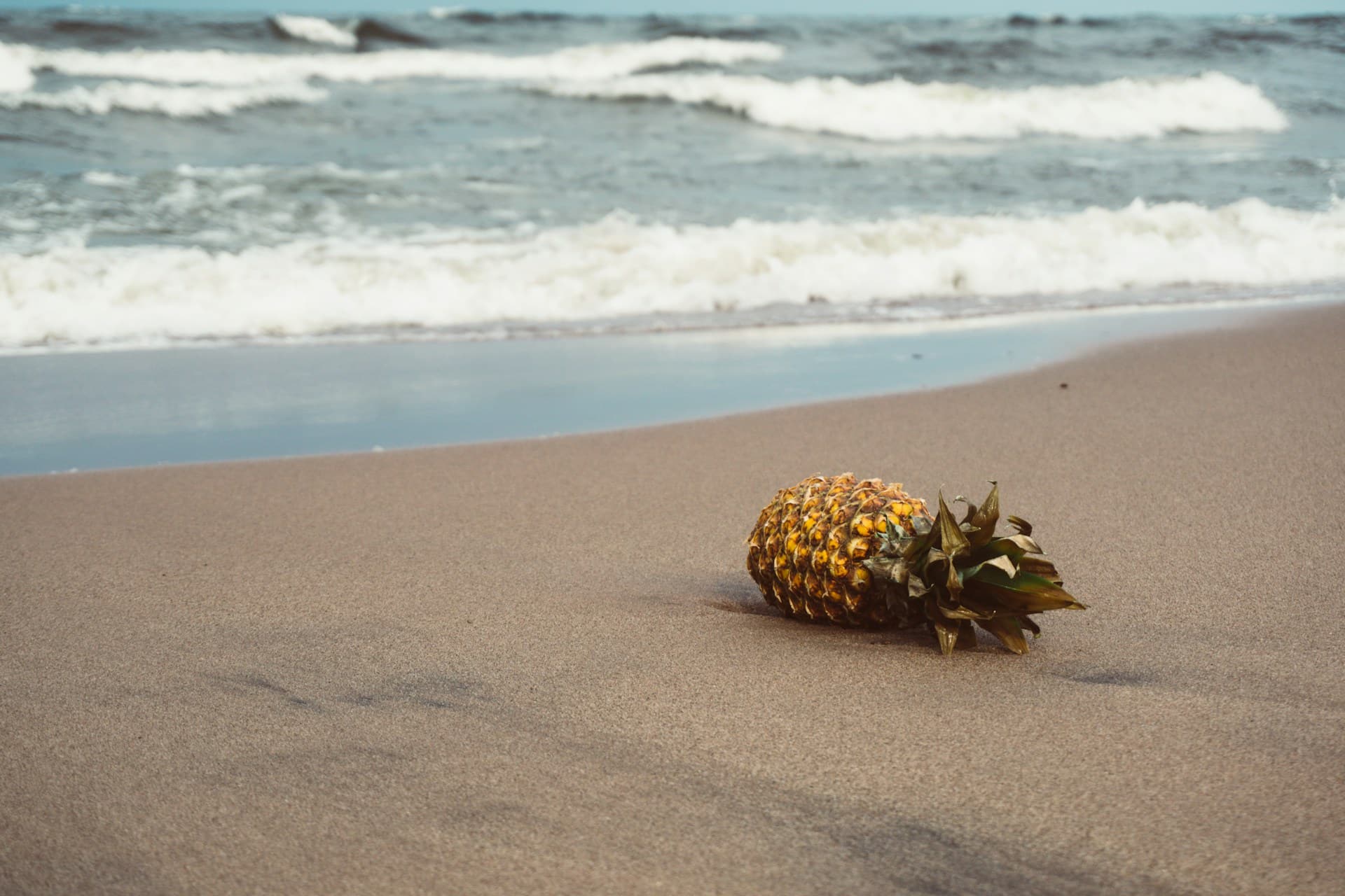 A pineapple on the beach at Park Point, Duluth, Minnesota, USA